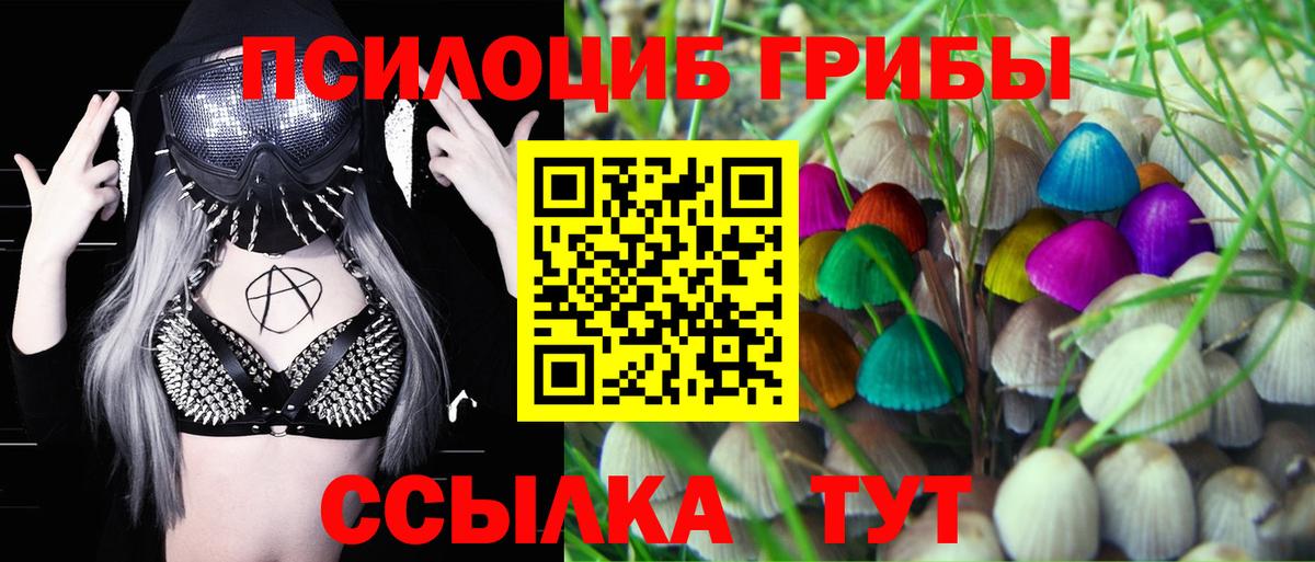 наркота  Вход с VPN  Новочебоксарск  Галлюциногенные грибы Psilocybine cubensis  Галлюциногенные грибы мицелий 